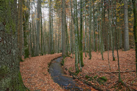 Gemeinde Bayerisch_Eisenstein Landkreis Regen Hans-Watzlik-Hain Kanal (Dirschl Johann) Deutschland REG